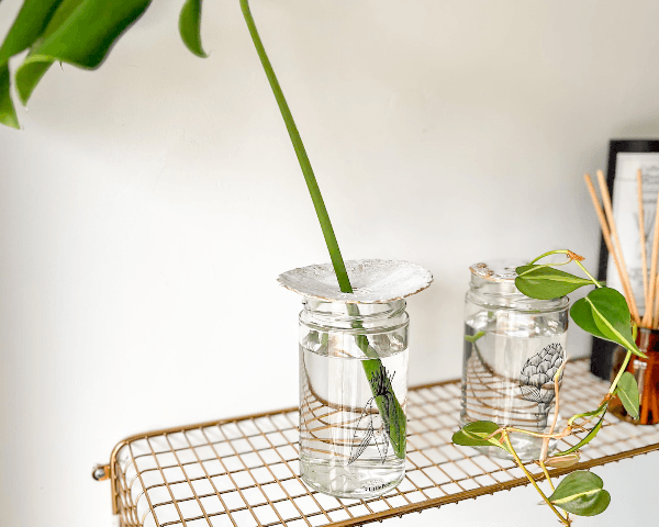 image de tutoriel afin de réaliser une coupelle de bouturage pour le printemps/été