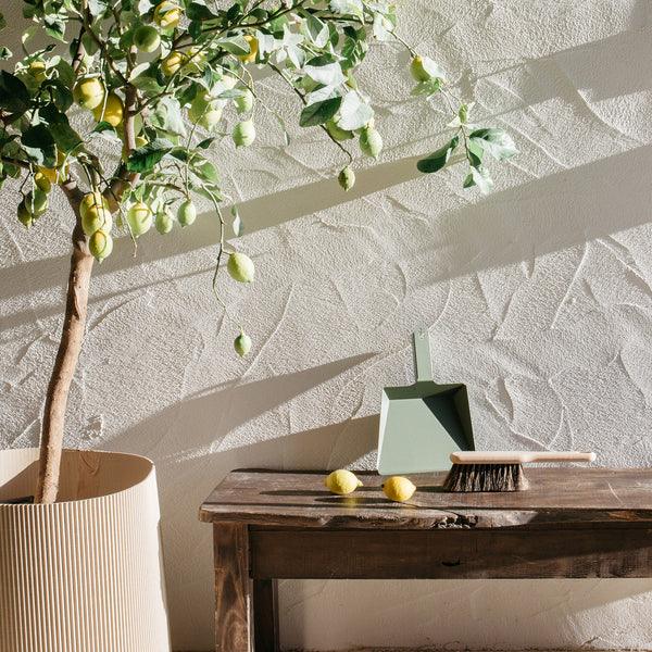 Coffret pelle et balayette hêtre - André Jardin