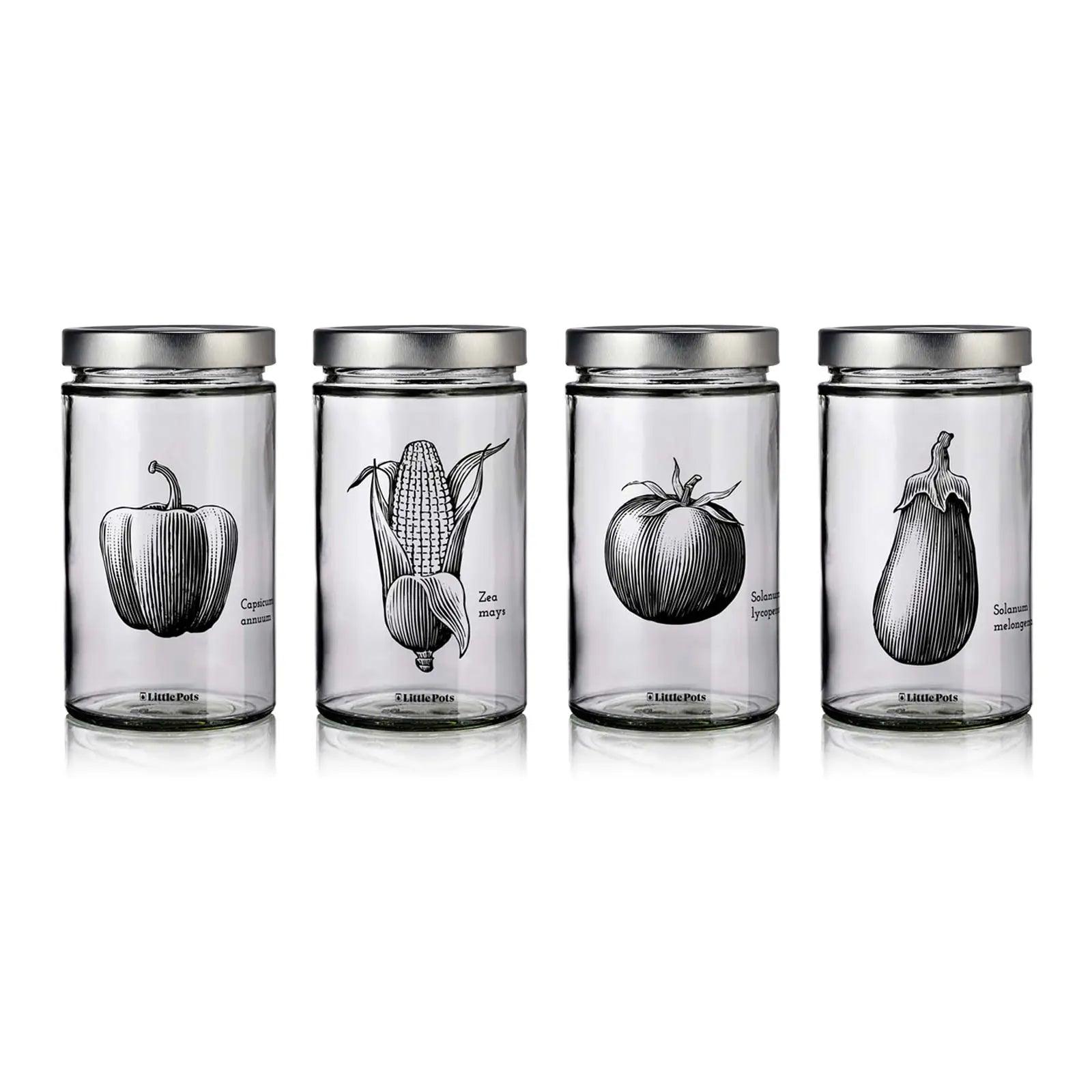 Pack de 4 bocaux en verre décorés avec couvercles argent